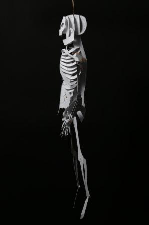 切り抜いてつくる「人体骨格模型」キット
